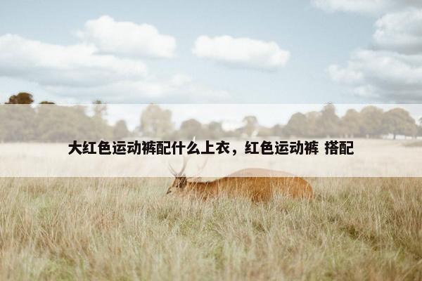 大红色运动裤配什么上衣，红色运动裤 搭配