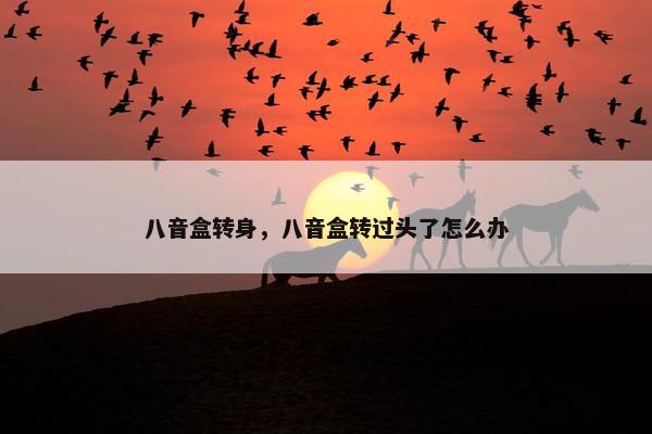 八音盒转身，八音盒转过头了怎么办