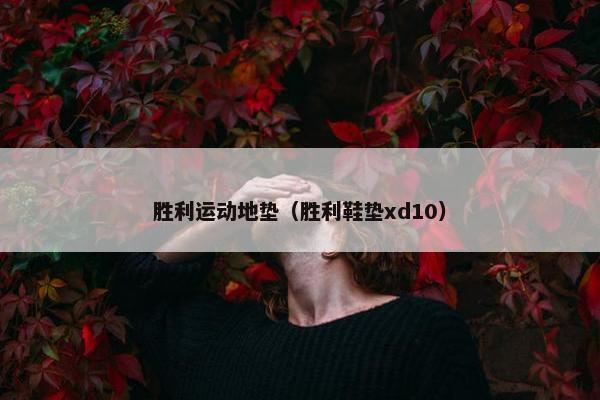 胜利运动地垫（胜利鞋垫xd10）