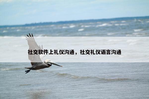 社交软件上礼仪沟通，社交礼仪语言沟通