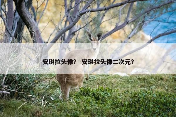 安琪拉头像？ 安琪拉头像二次元？