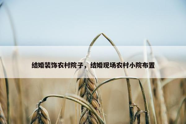结婚装饰农村院子，结婚现场农村小院布置