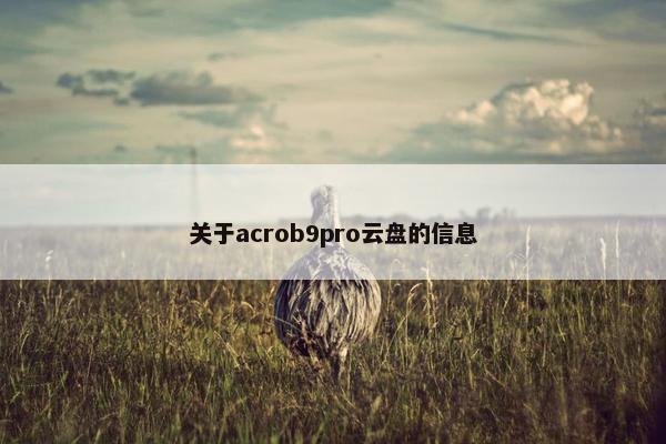 关于acrob9pro云盘的信息