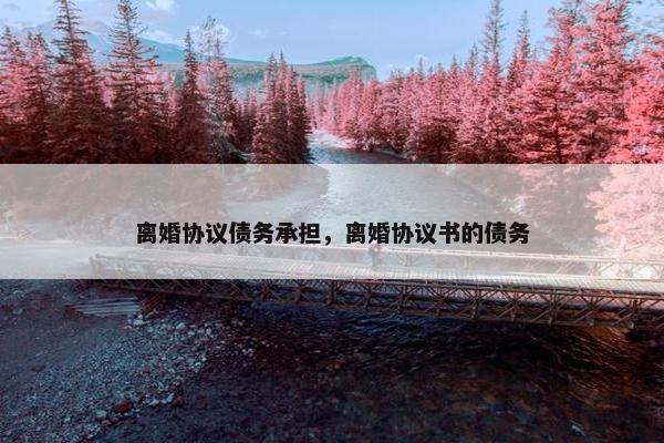 离婚协议债务承担，离婚协议书的债务