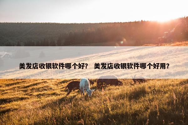 美发店收银软件哪个好？ 美发店收银软件哪个好用？