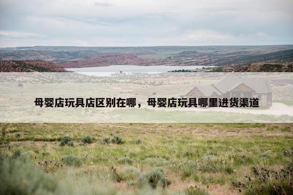 母婴店玩具店区别在哪，母婴店玩具哪里进货渠道