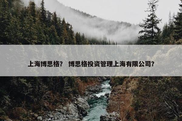 上海博思格? 博思格投资管理上海有限公司? 上海博思格? 博思格投资管理上海有限公司?