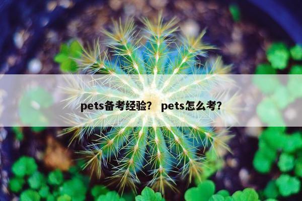 pets备考经验？ pets怎么考？