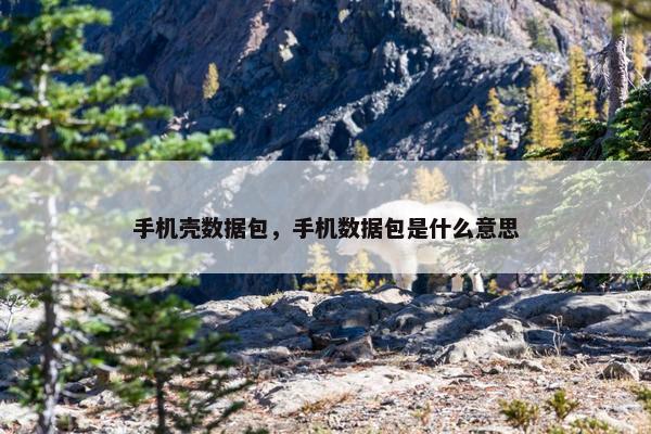 手机壳数据包，手机数据包是什么意思
