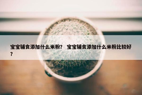 宝宝辅食添加什么米粉？ 宝宝辅食添加什么米粉比较好？