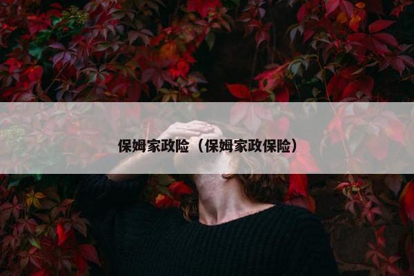 保姆家政险(保姆家政保险) 保姆家政险(保姆家政保险)