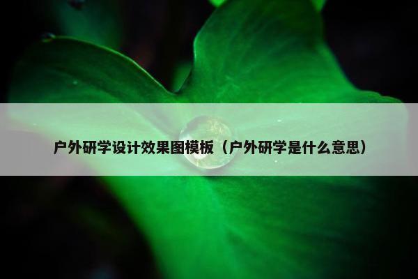 户外研学设计效果图模板（户外研学是什么意思）