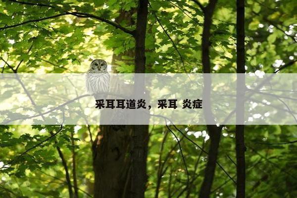 采耳耳道炎，采耳 炎症