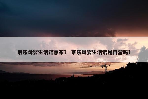 京东母婴生活馆惠东？ 京东母婴生活馆是自营吗？