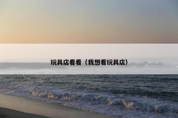 玩具店看看（我想看玩具店）