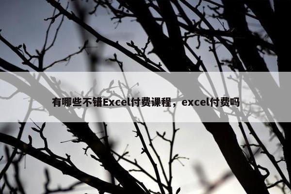 有哪些不错Excel付费课程，excel付费吗