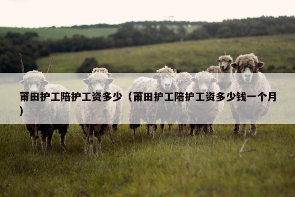 莆田护工陪护工资多少（莆田护工陪护工资多少钱一个月）