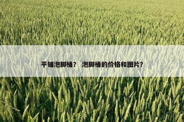 平铺泡脚桶？ 泡脚桶的价格和图片？