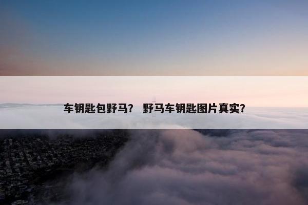 车钥匙包野马? 野马车钥匙图片真实? 车钥匙包野马? 野马车钥匙图片真实?