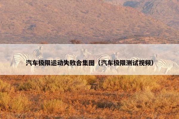 汽车极限运动失败合集图（汽车极限测试视频）