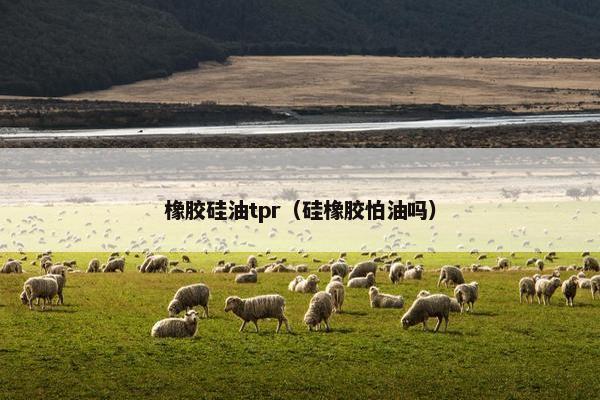 橡胶硅油tpr（硅橡胶怕油吗）