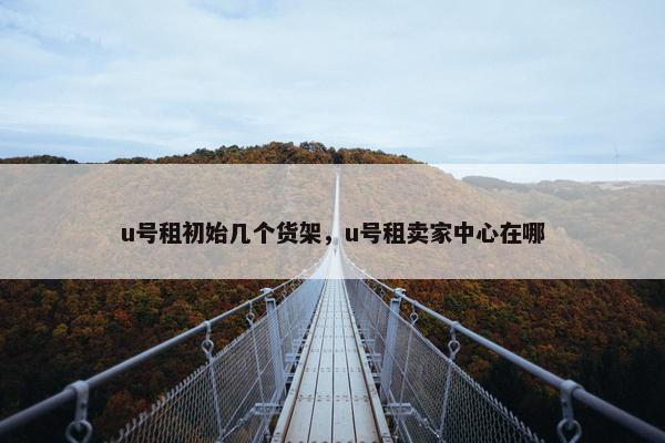 u号租初始几个货架，u号租卖家中心在哪