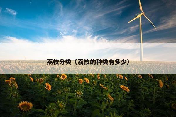 荔枝分类(荔枝的种类有多少) 荔枝分类(荔枝的种类有多少)