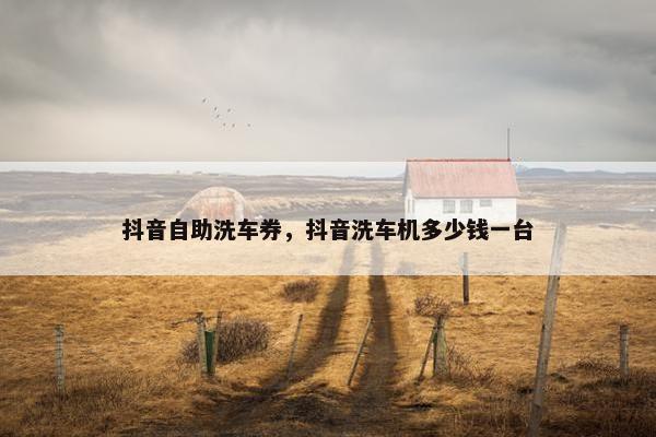 抖音自助洗车券，抖音洗车机多少钱一台