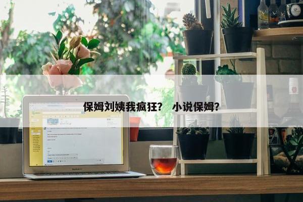 保姆刘姨我疯狂？ 小说保姆？