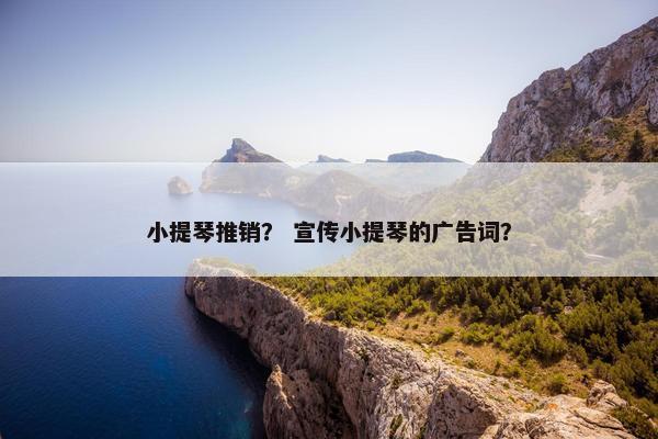 小提琴推销？ 宣传小提琴的广告词？