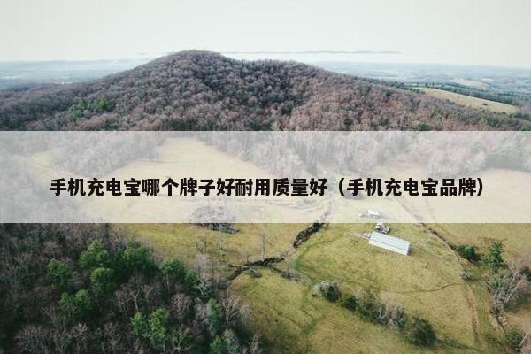 手机充电宝哪个牌子好耐用质量好（手机充电宝品牌）