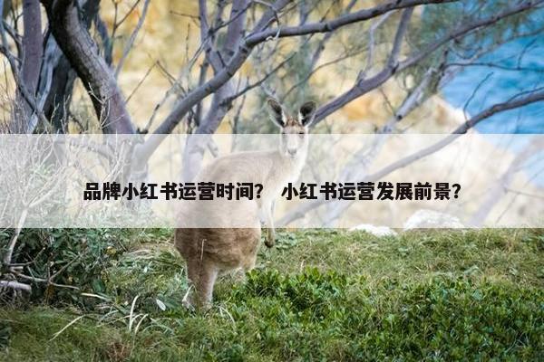 品牌小红书运营时间？ 小红书运营发展前景？