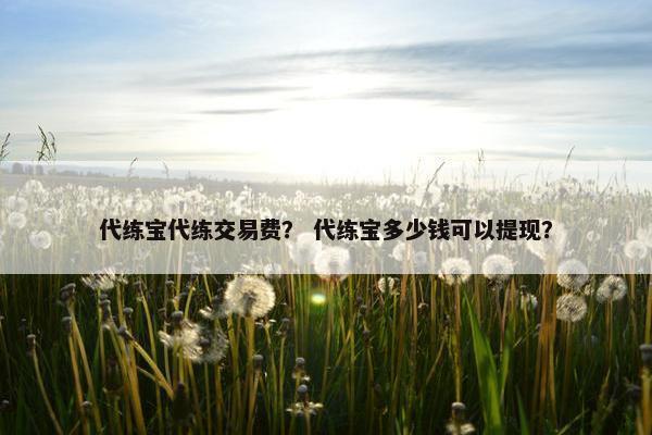 代练宝代练交易费? 代练宝多少钱可以提现? 代练宝代练交易费? 代练宝多少钱可以提现?