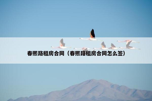 春熙路租房合同（春熙路租房合同怎么签）