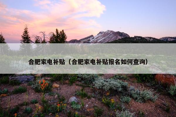 合肥家电补贴(合肥家电补贴报名如何查询) 合肥家电补贴(合肥家电补贴报名如何查询)