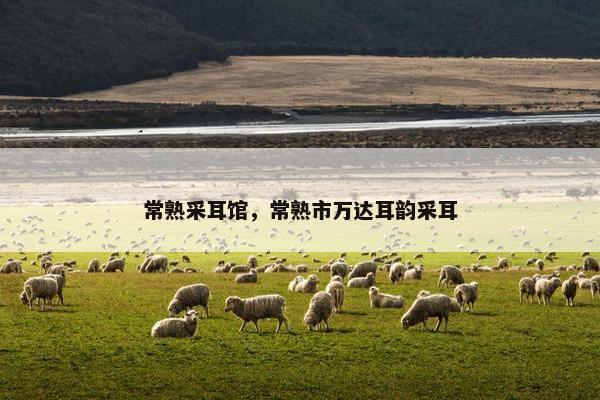 常熟采耳馆，常熟市万达耳韵采耳