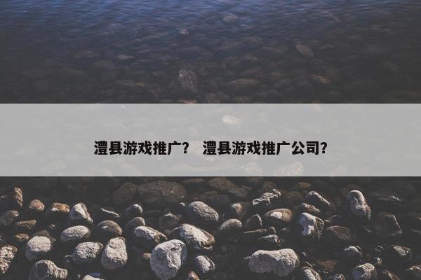 澧县游戏推广？ 澧县游戏推广公司？