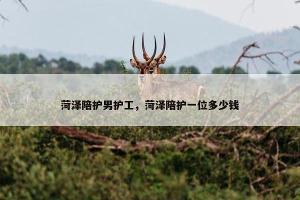 菏泽陪护男护工，菏泽陪护一位多少钱