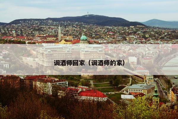 调酒师回家（调酒师的家）