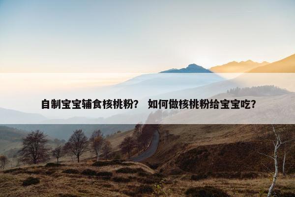 自制宝宝辅食核桃粉? 如何做核桃粉给宝宝吃? 自制宝宝辅食核桃粉? 如何做核桃粉给宝宝吃?