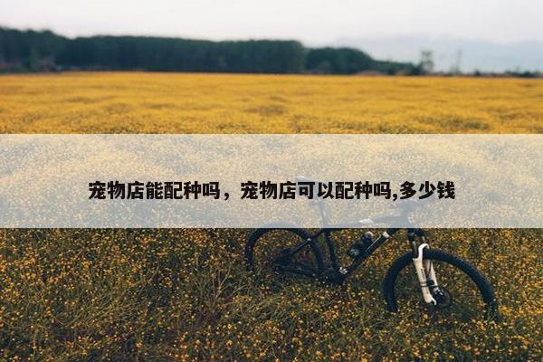 宠物店能配种吗，宠物店可以配种吗,多少钱