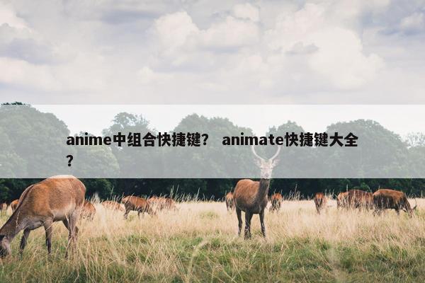 anime中组合快捷键? animate快捷键大全? anime中组合快捷键? animate快捷键大全?