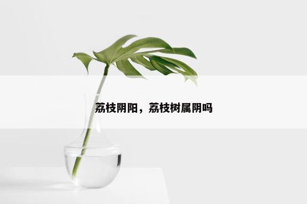 荔枝阴阳,荔枝树属阴吗 荔枝阴阳,荔枝树属阴吗