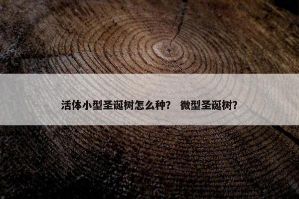 活体小型圣诞树怎么种? 微型圣诞树? 活体小型圣诞树怎么种? 微型圣诞树?