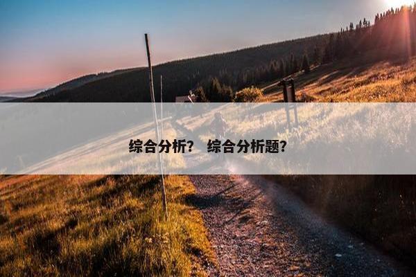 综合分析？ 综合分析题？