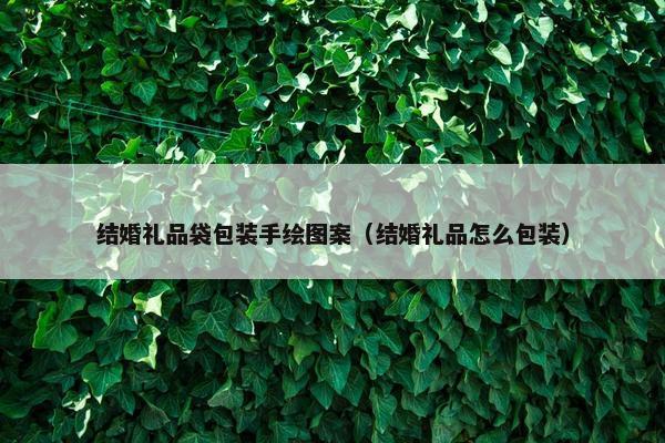 结婚礼品袋包装手绘图案(结婚礼品怎么包装) 结婚礼品袋包装手绘图案(结婚礼品怎么包装)