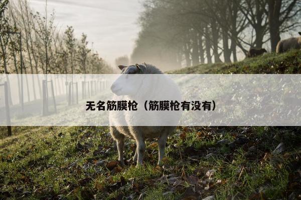 无名筋膜枪（筋膜枪有没有）