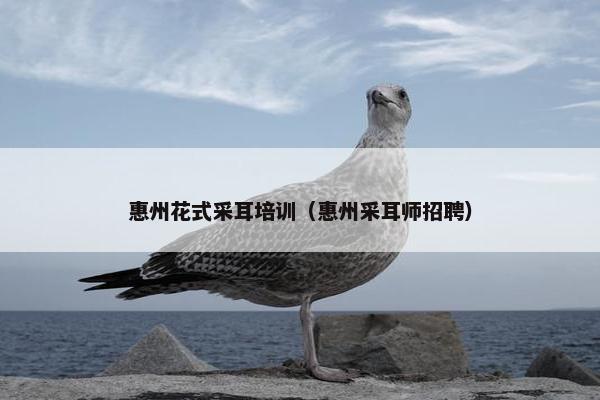 惠州花式采耳培训(惠州采耳师招聘) 惠州花式采耳培训(惠州采耳师招聘)