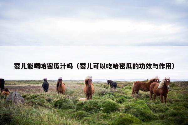 婴儿能喝哈密瓜汁吗（婴儿可以吃哈密瓜的功效与作用）