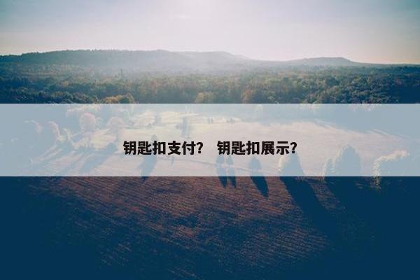 钥匙扣支付? 钥匙扣展示? 钥匙扣支付? 钥匙扣展示?